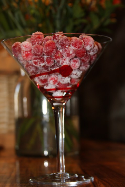 candied cranberries